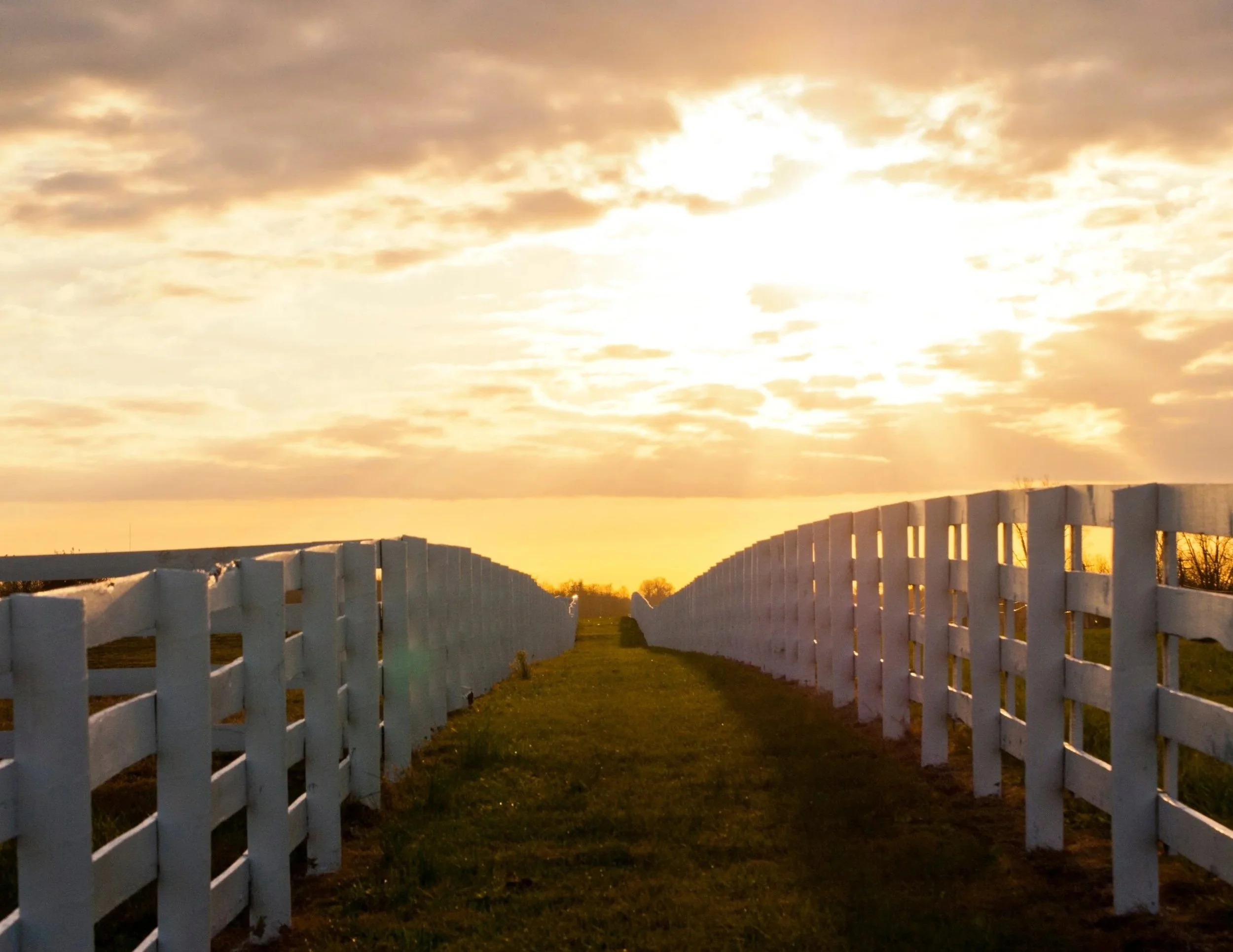 A dirt path with white fences on both sides leads toward the horizon under a sky with clouds and a setting sun.