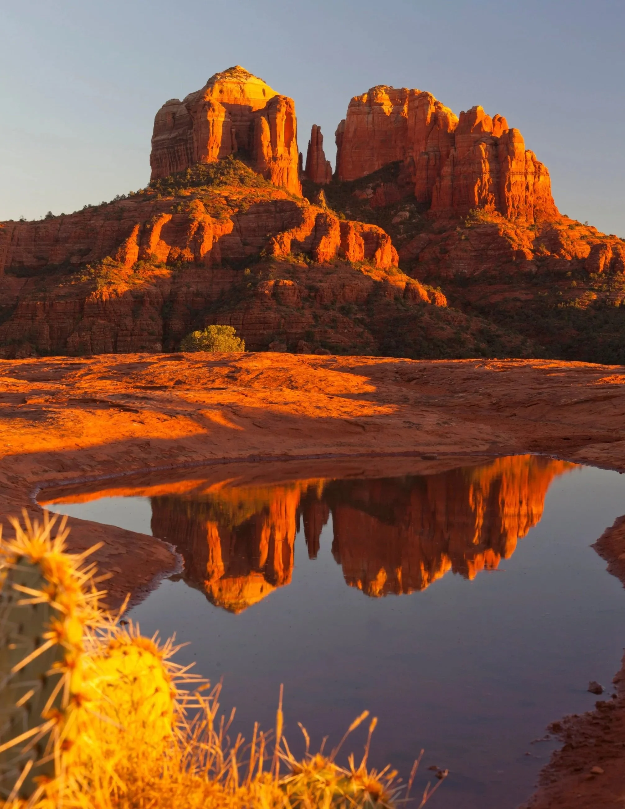 Sunset over redrock formations reflected in a small pool of water, with cactus in the foreground.