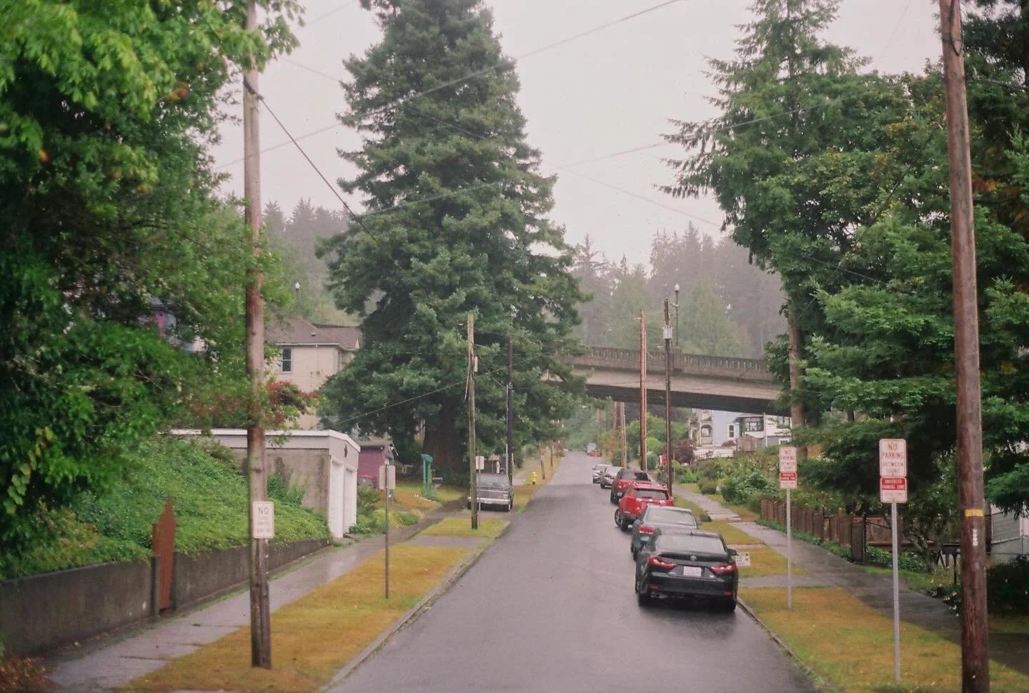 📍oregon coast
&bull;
&bull;
&bull;
shot on minolta xg-1 with kodak gold film