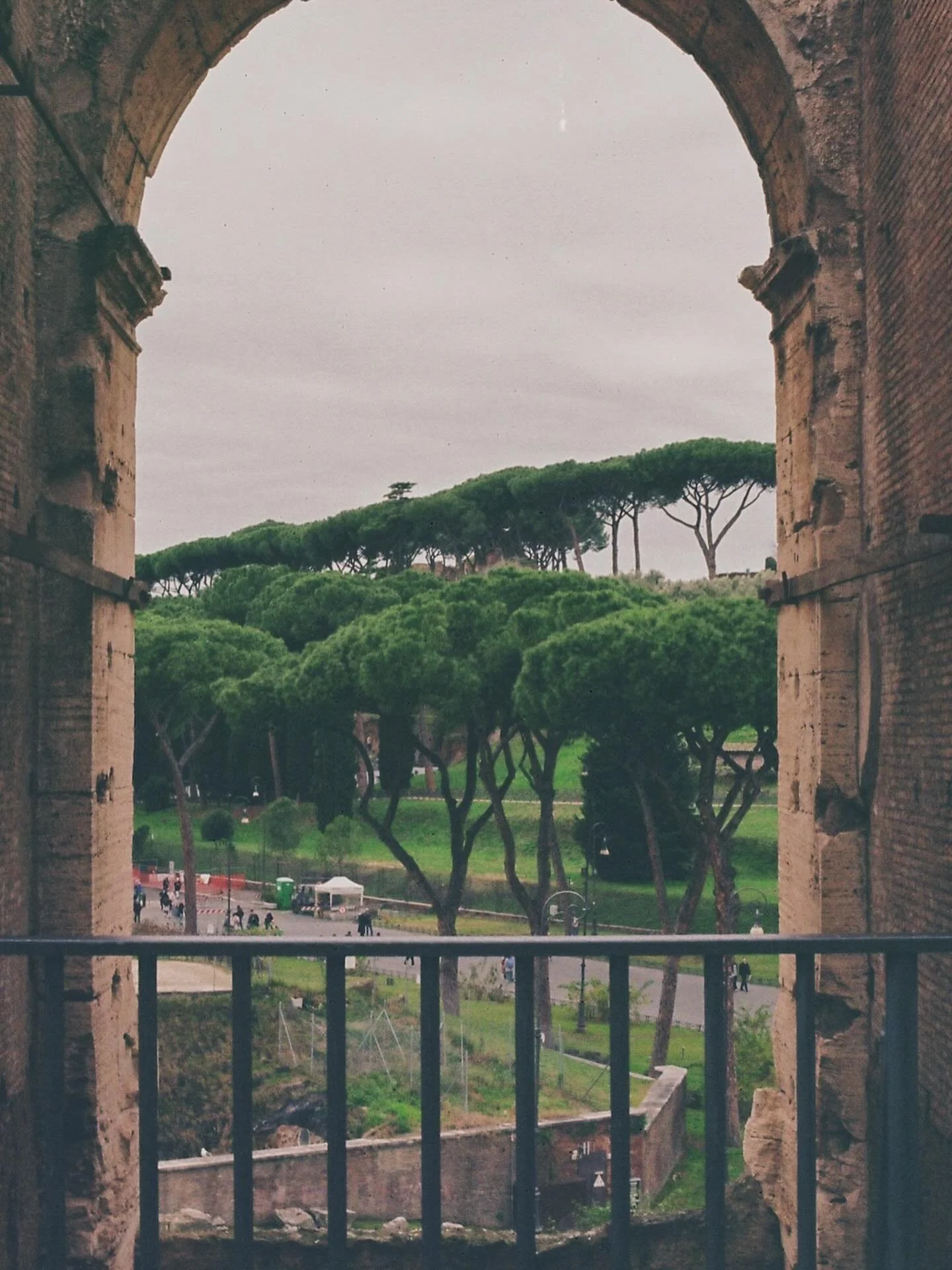 📍rome, italy
&bull;
&bull;
&bull;
shot on olympus om-10 with kodak gold film