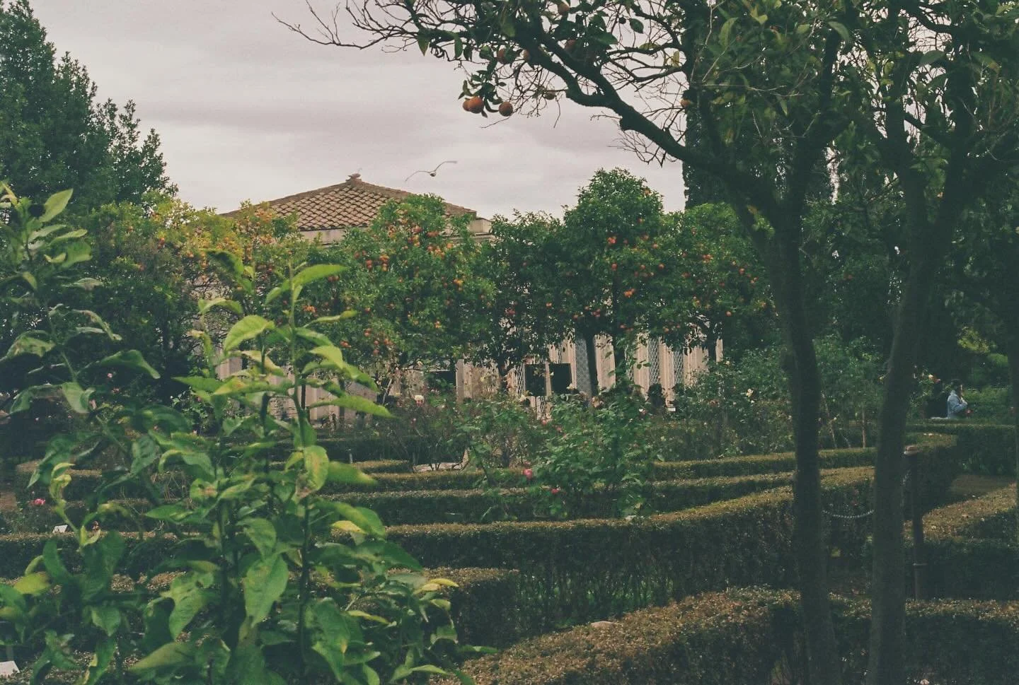 📍rome, italy
&bull;
&bull;
&bull;
shot on olympus om-10 with kodak gold film