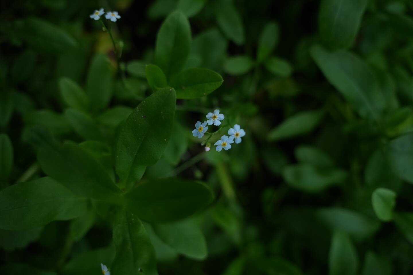 happy earth day🌎
&bull;
&bull;
&bull;
shot on sony a6700 with a sigma 15-50mm f/2.8 lens