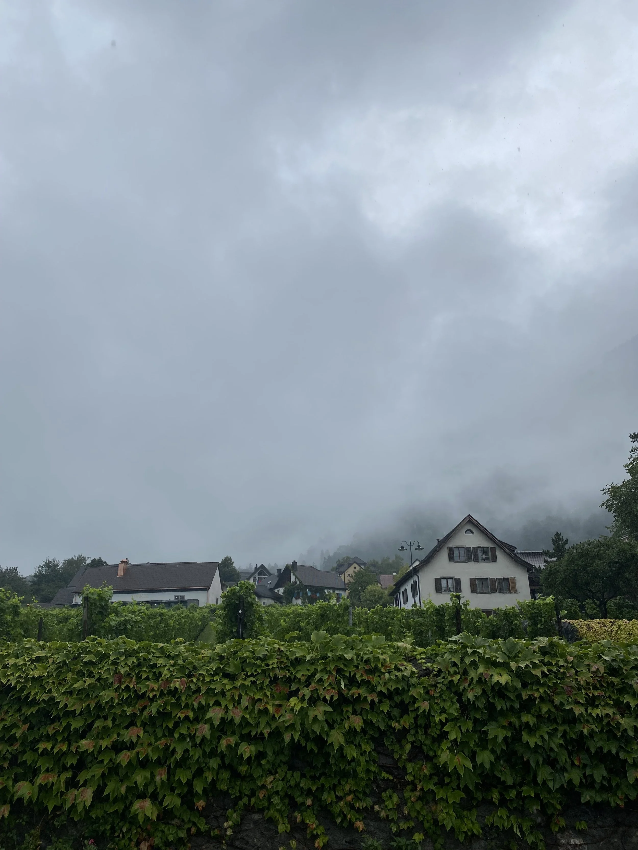 IMG_7651.jpeg