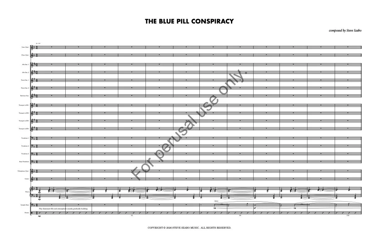The Blue Pill Conspiracy 11 x 17 Watermark 1.jpg