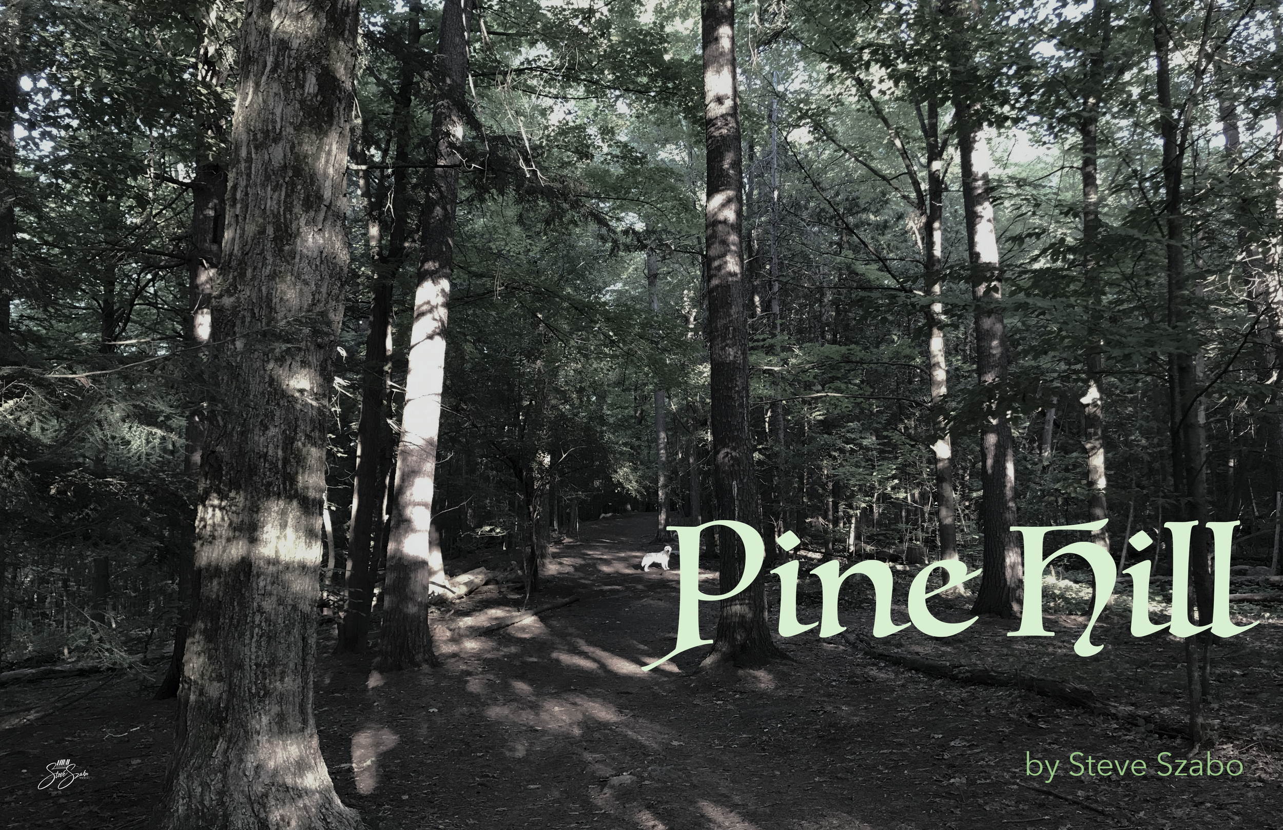 Pine Hill Cover.png