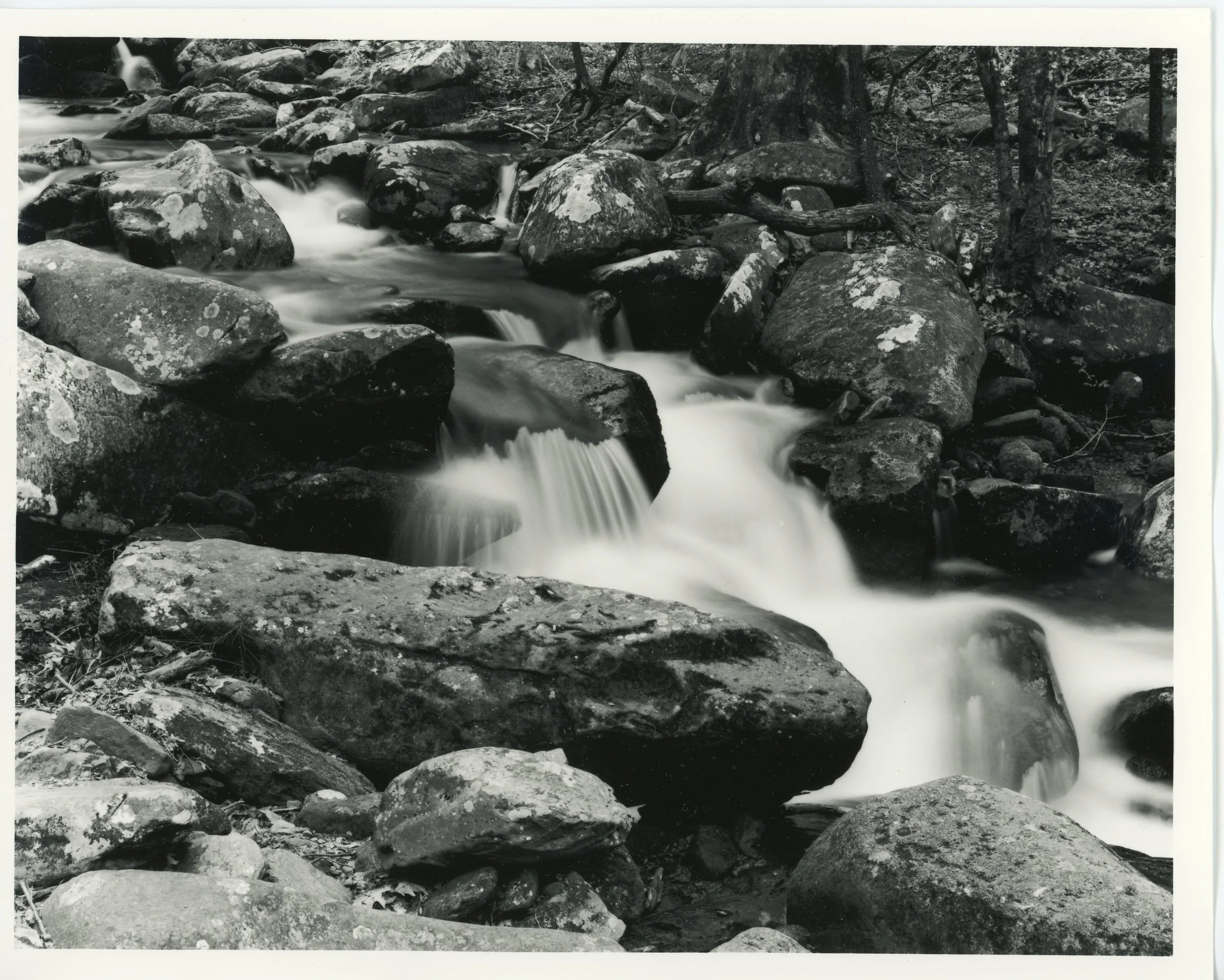 Trailside Cascade, Great Smoky Mountains NP