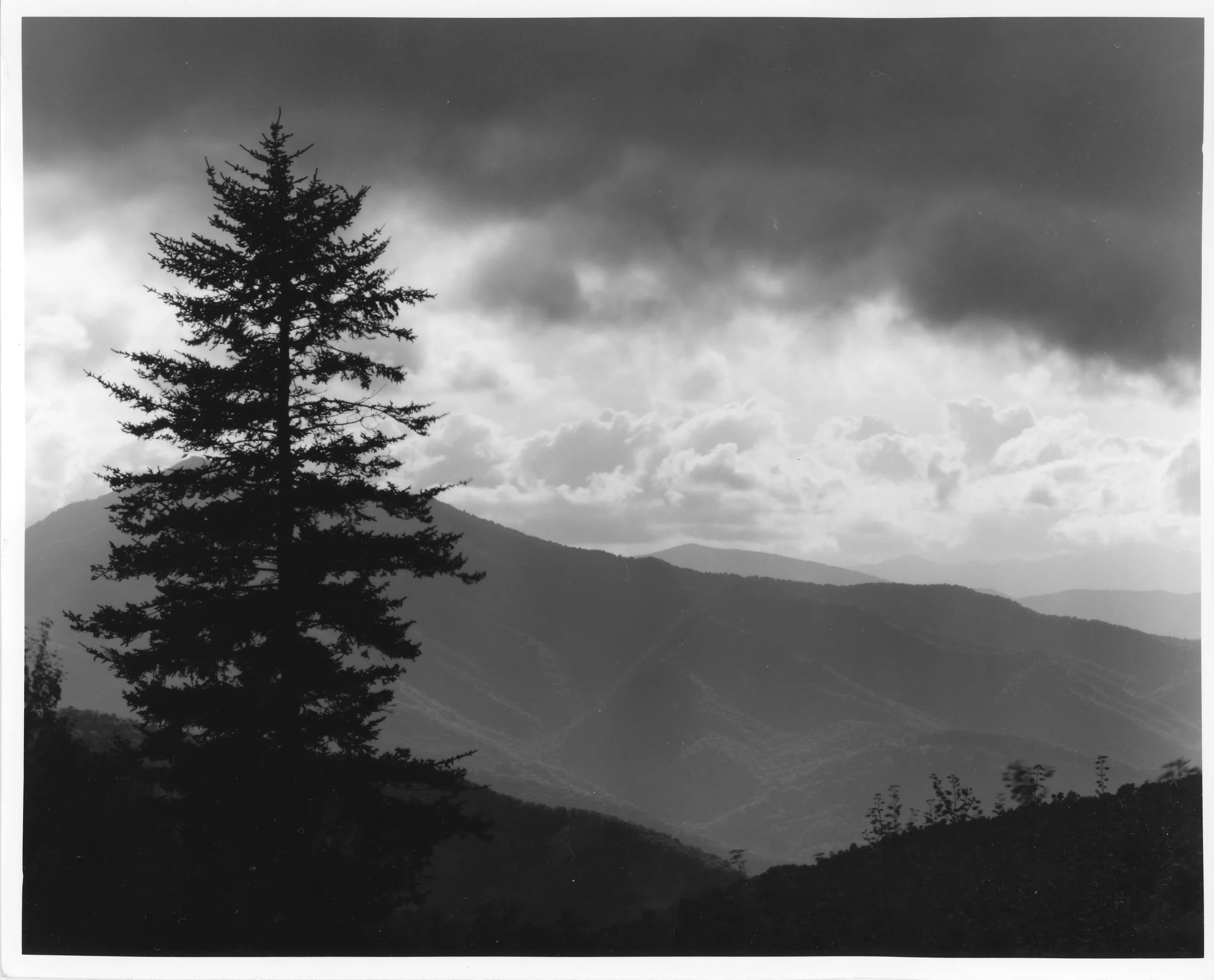 Sentinel of the Valley, Blue Ridge Parkway