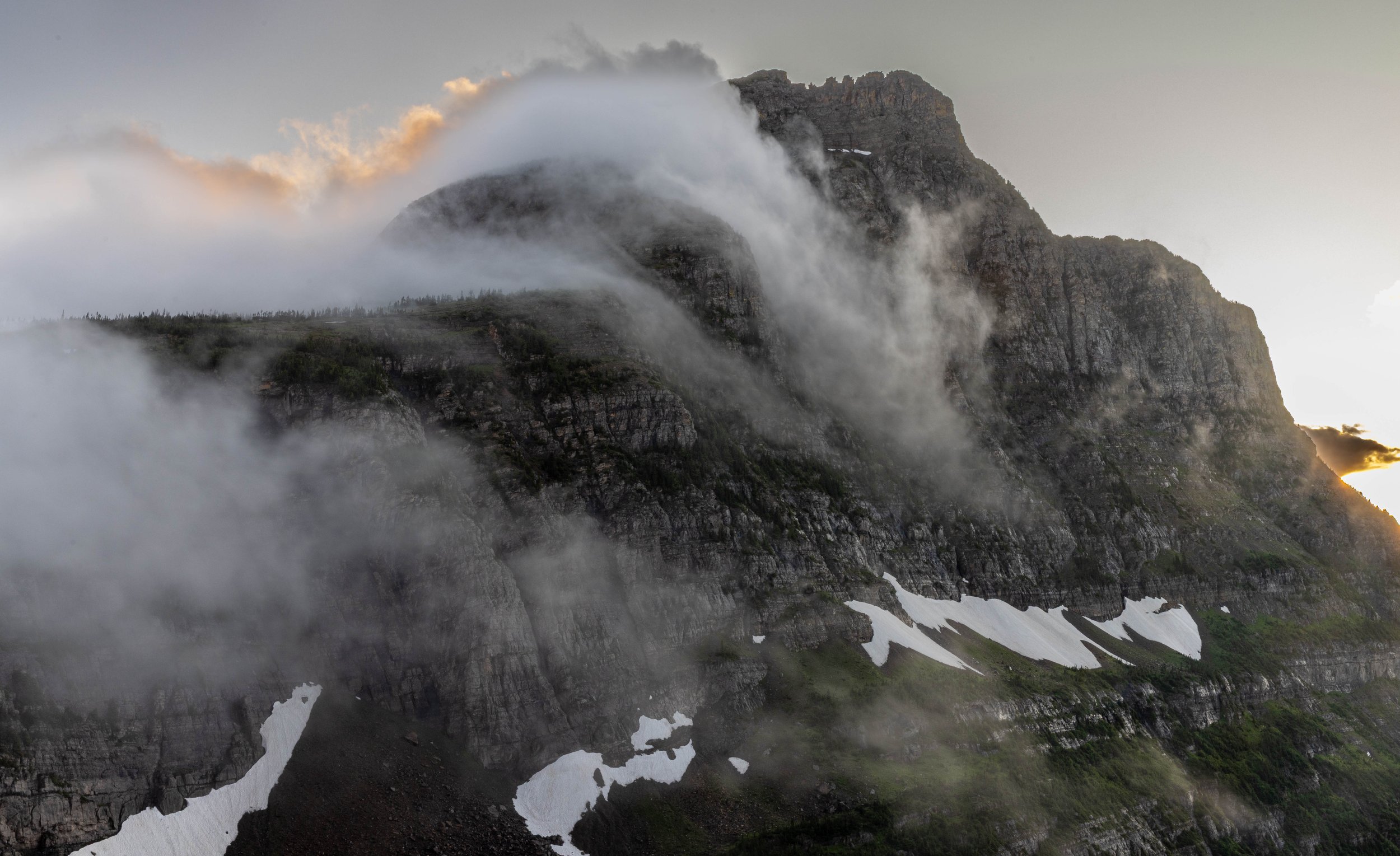 Rolling Fog.jpg