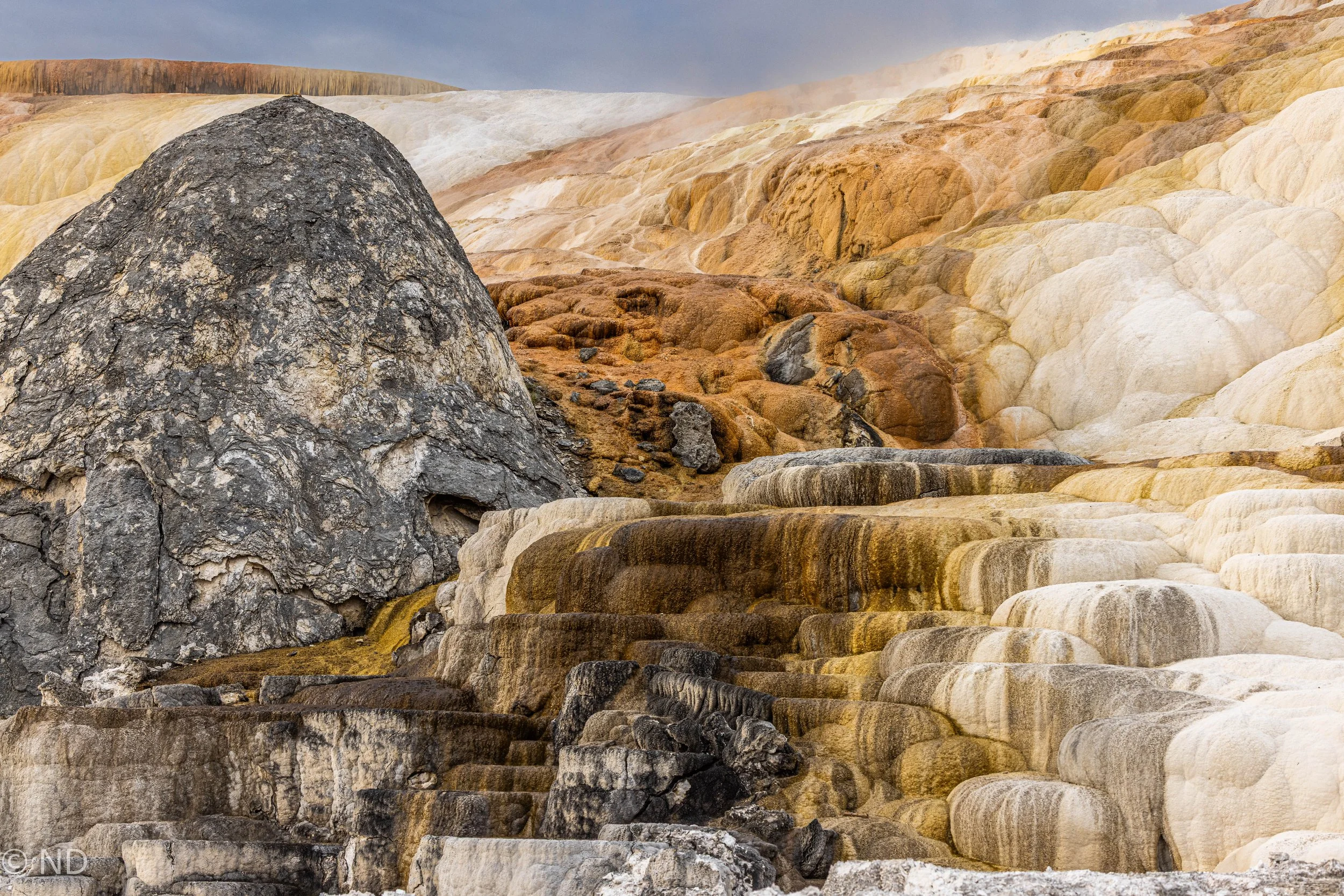 Mammoth Hot Springs-3.jpg