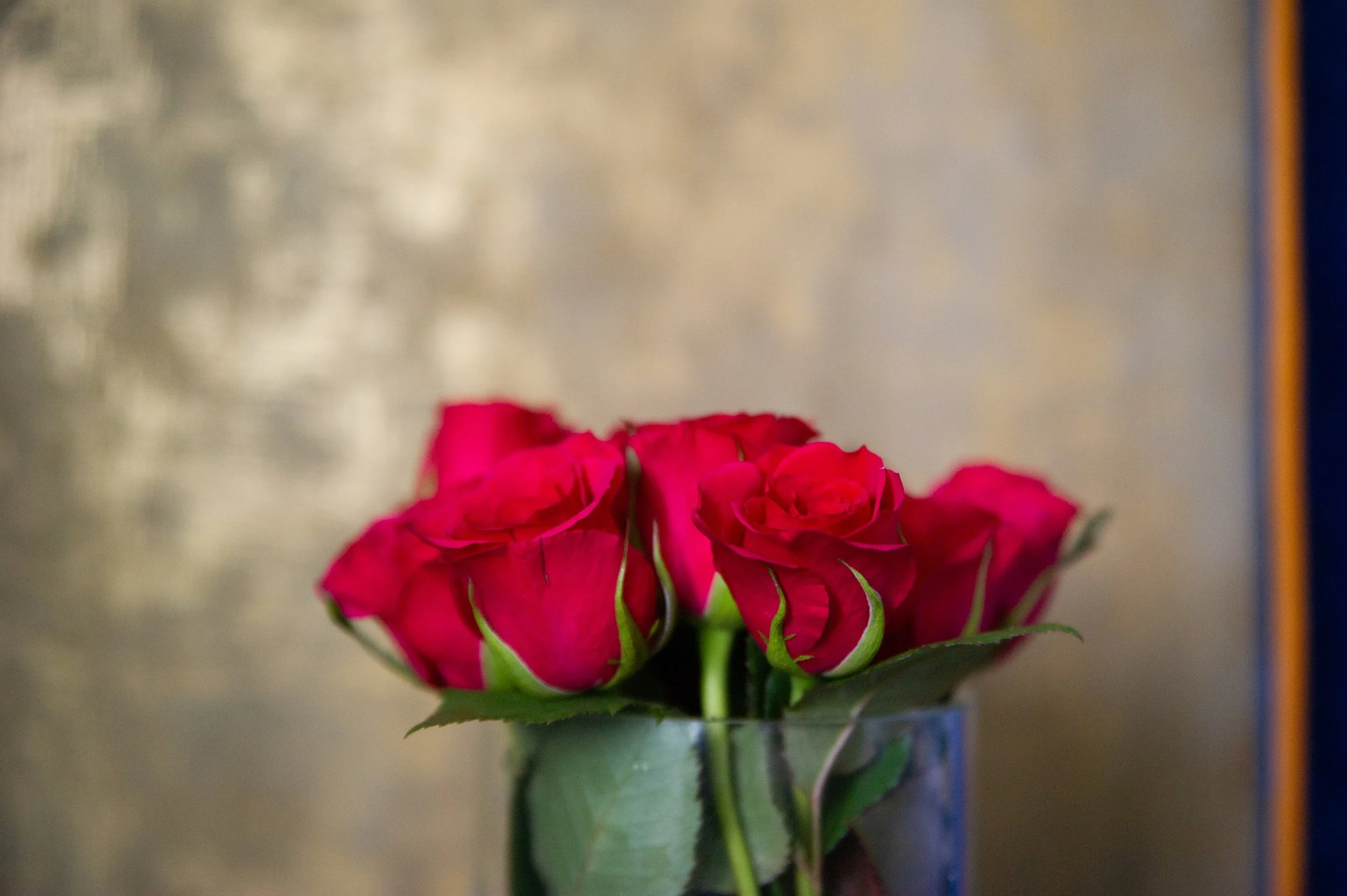 ES1_8330 (1).jpg
