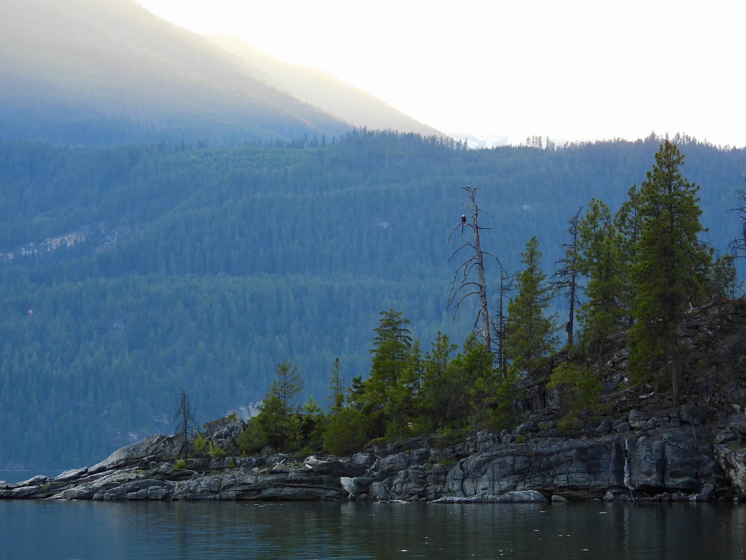 Why Ecotherapy Has a Place in My Personal Wellness Practice
