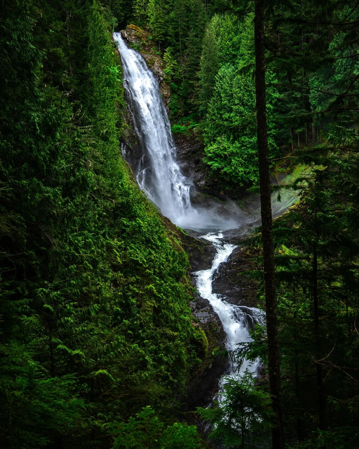 9 Days in Seattle

Day 2

Places Visited:
- Wallace Falls
- Snoqualmie Falls

.
.
.
.
.
 #WallaceFalls #SnoqualmieFalls #WashingtonState #PNWExplorers #PacificNorthwest #PNWAdventures #WaterfallWednesday #NatureLovers #ChasingWaterfalls #PNWWonderlan