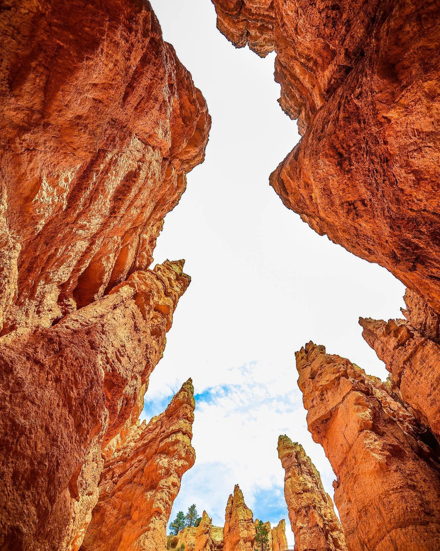 Utah photo dump
.
.
.

#utah #utahphotographer #utahisrad #utahgram #utahunique #utahphotography #utahtravels #utahbeauty #utahrocks #utahisbeautiful #utahadventures #hikingadventures #brycecanyon #brycecanyonnationalpark #brycecanyonnps #hikingtrail