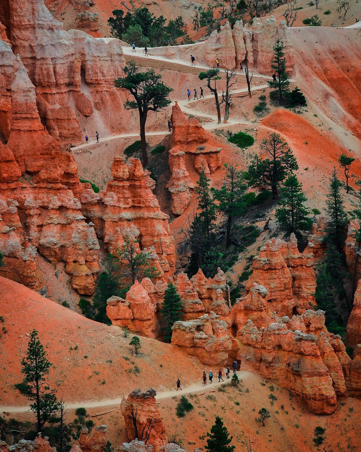 Haven&rsquo;t posted in a while but hopefully getting back into it soon! In the meantime enjoy this pic from last summer!
.
.
.
#utah #utahphotographer #utahisrad #utahgram #utahunique #utahphotography #utahtravels #utahbeauty #utahrocks #utahisbeaut