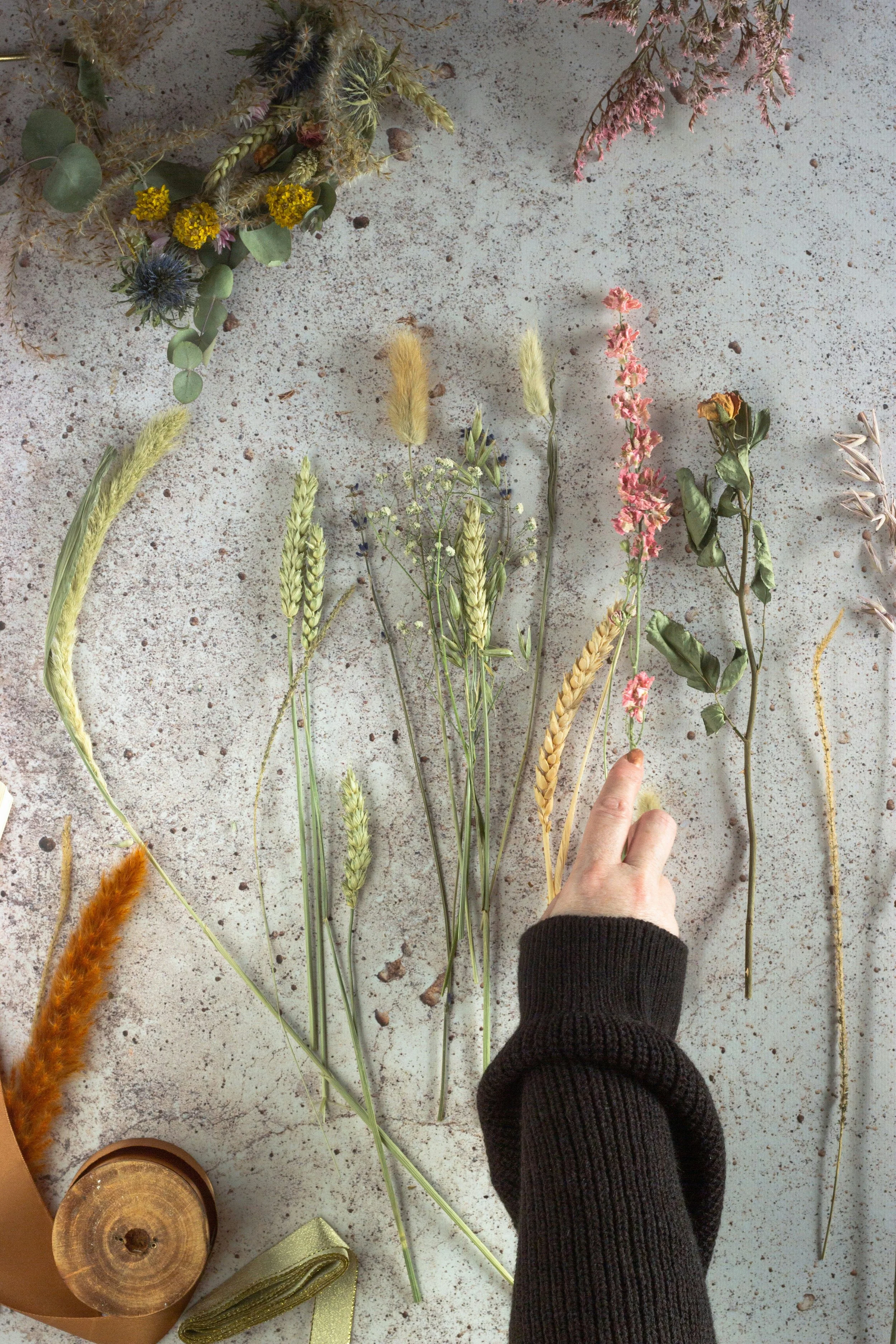 Verschiedene getrocknete Blumen und Gräser, eine menschliche Hand, die eine rosa Blume berührt, auf einer Pflanze liegen, auf einem steinigen Untergrund.