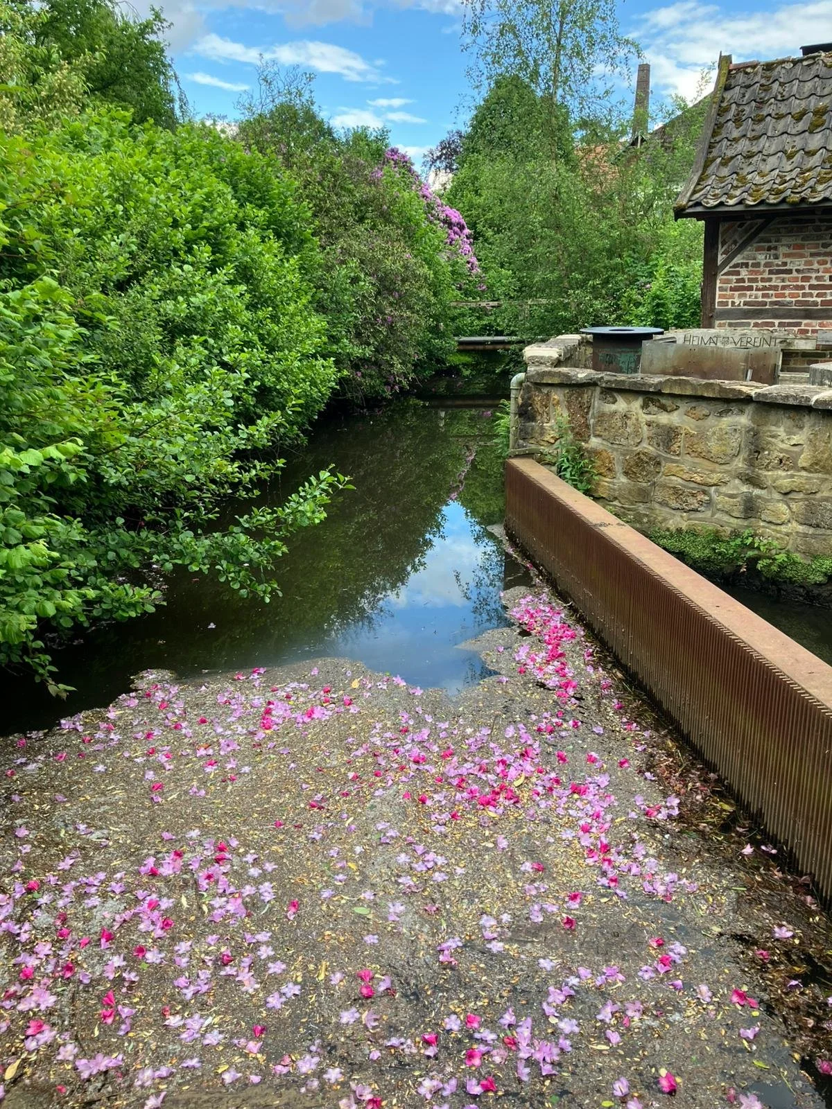 Ein kleiner Kanal mit Wasser, umgeben von grünen Büschen und Bäumen. Auf dem Boden liegen viele pinke und lila Blätter. Im Hintergrund ist ein alter Steinhaus mit einem Gartenzaun zu sehen.