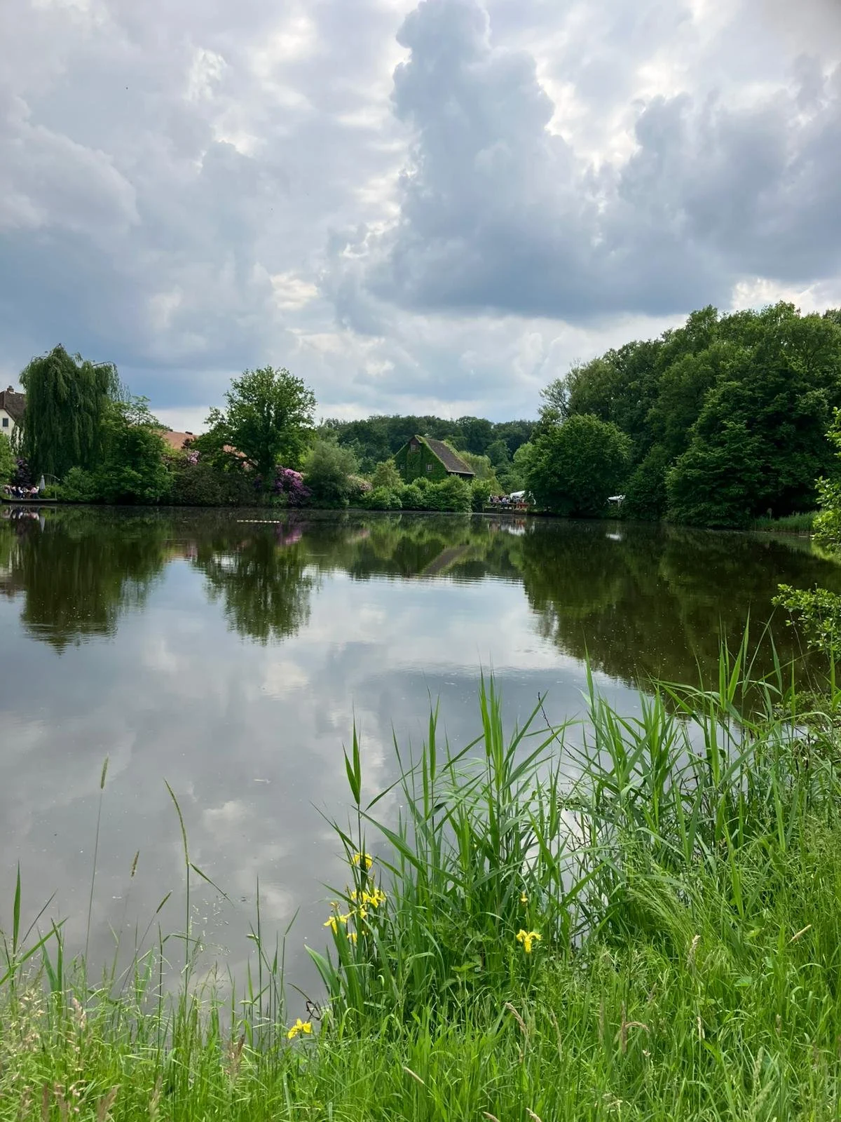 Ein ruhiger Fluss mit grünen Bäumen und Sträuchern an den Ufern, reflektiert den bewölkten Himmel und umliegende Häuser im Wasser, im Vordergrund hohes Gras und gelbe Blumen.