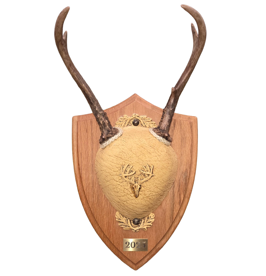 antler-mount