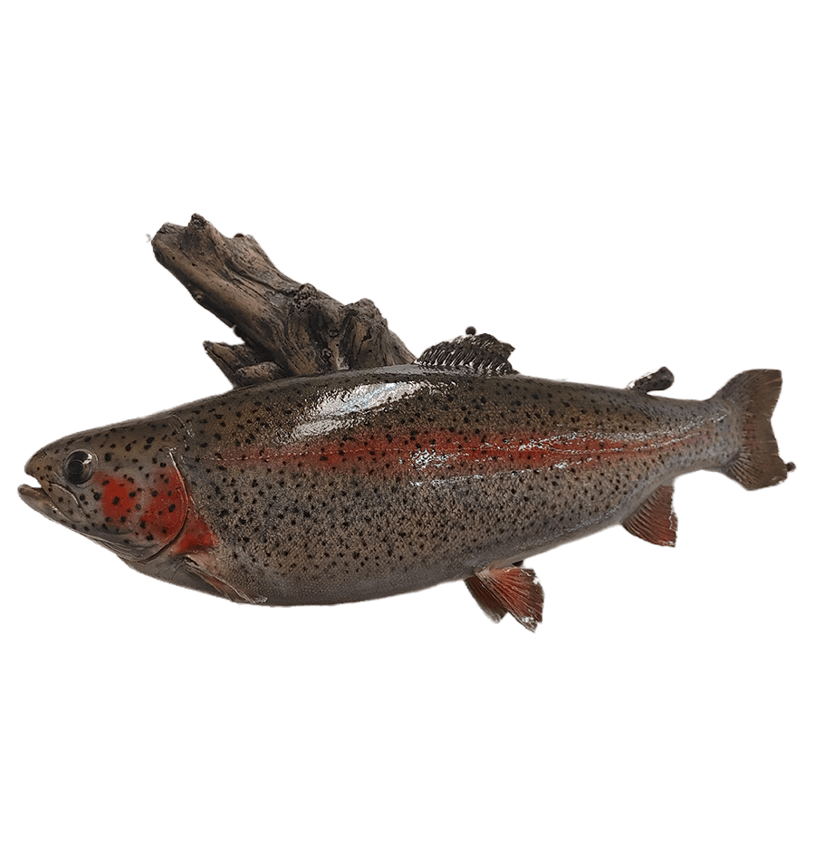 BennysMount (7).png