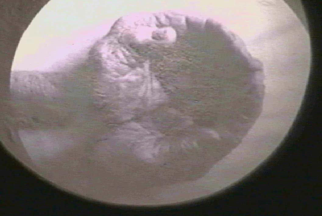 manos de mater 150.jpg