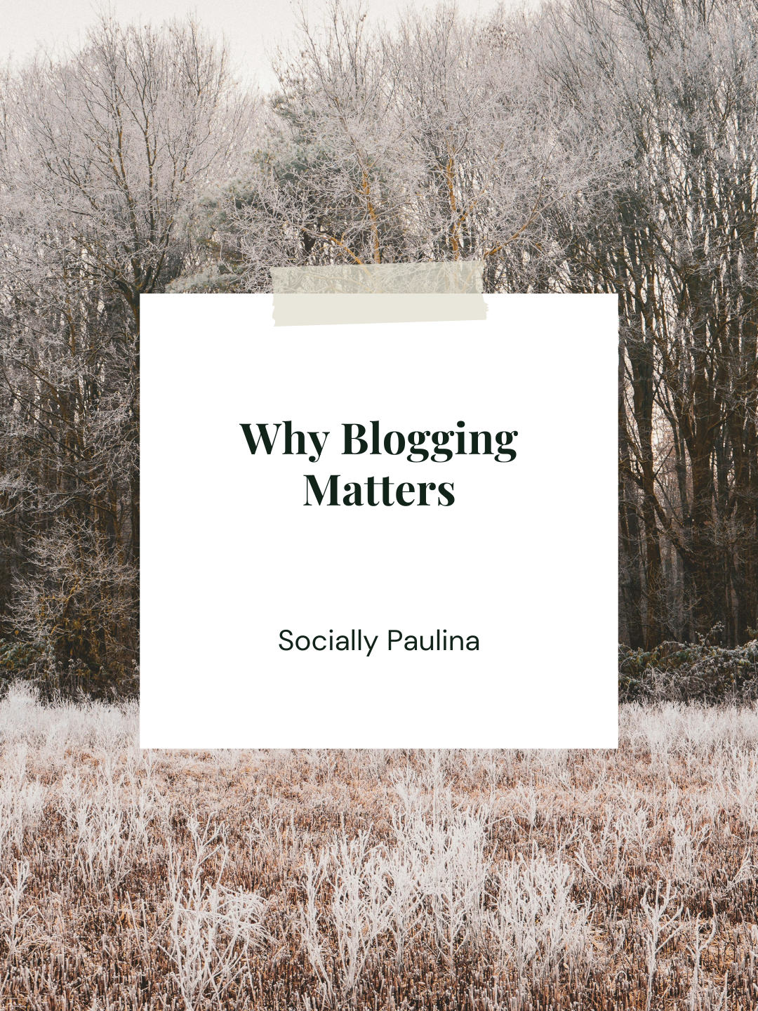 Why Blogging Matters