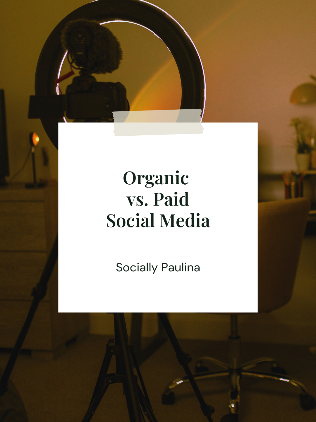 Organic vs. Paid Social Media: Where Should a Small Business Put Its Marketing Budget?