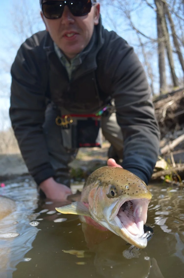 Trout Face.jpeg