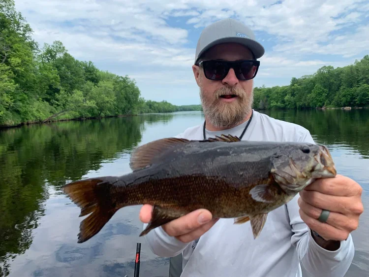 Smallmouth10.webp