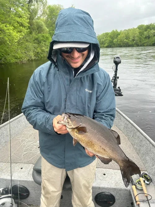 Smallmouth25.webp