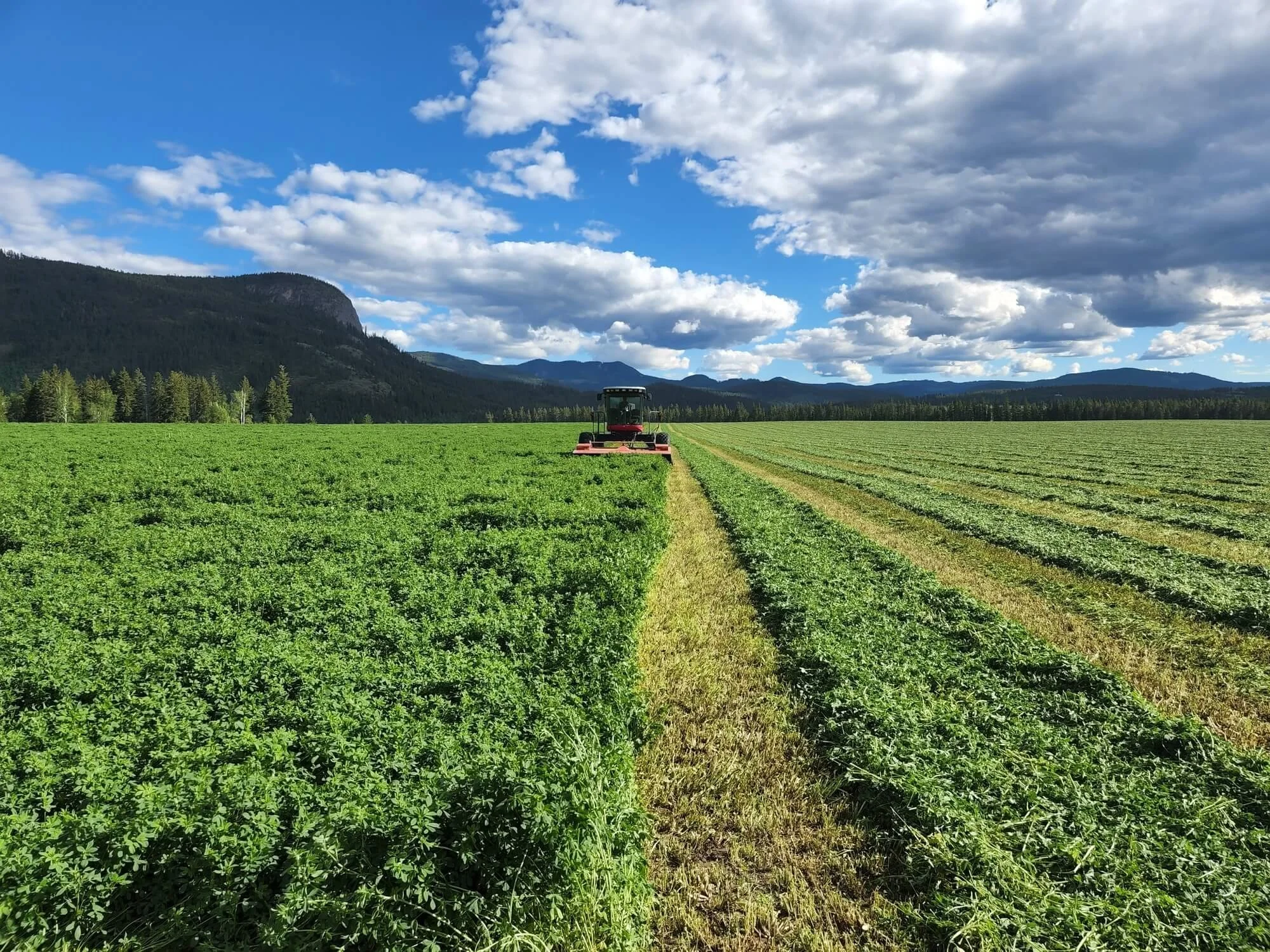 A tractor working in a lush green field with mountains and a partly cloudy sky in the background.
