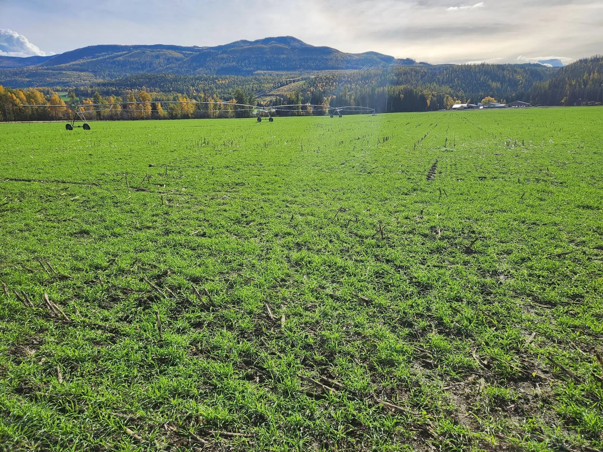 Green field with tractor irrigation sprinklers, mountains, and a partly cloudy sky in the background.