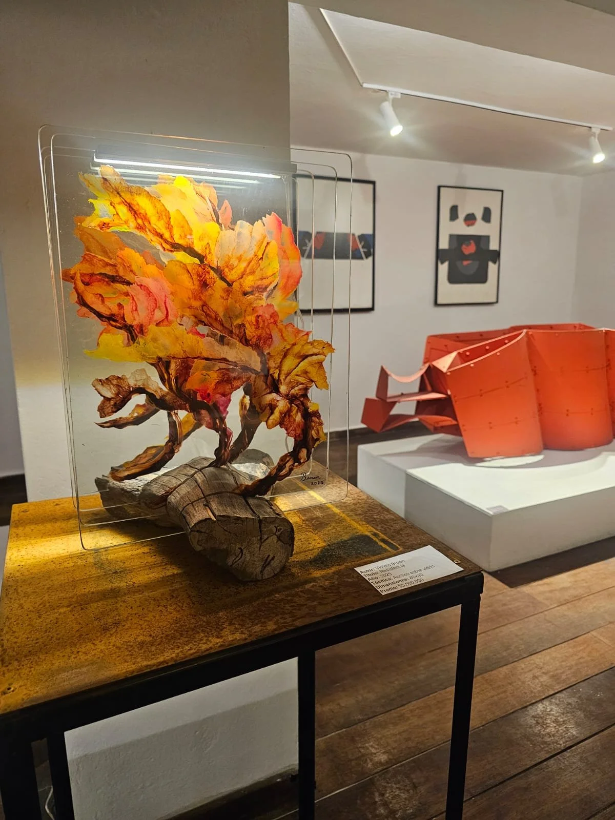 WhatsApp Image 2026-04-07 at 6.20.51 PM.jpeg