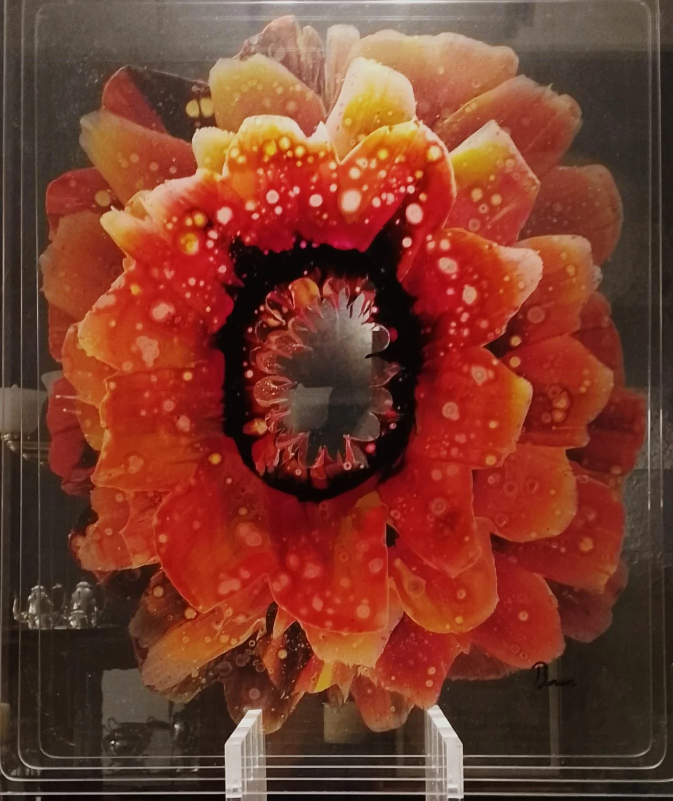 WhatsApp Image 2026-04-07 at 6.20.51 PM (5).jpeg