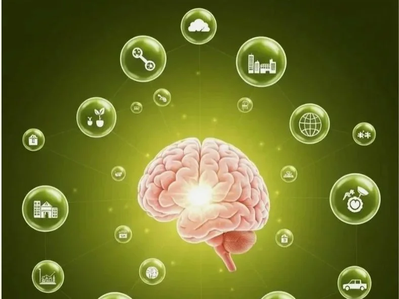 Programa de Neurotransformacion