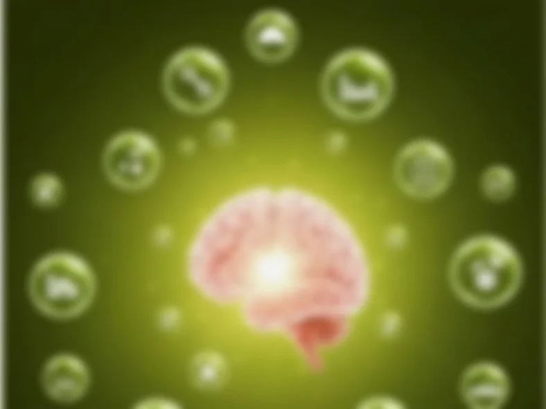 Programa de Neurotransformacion