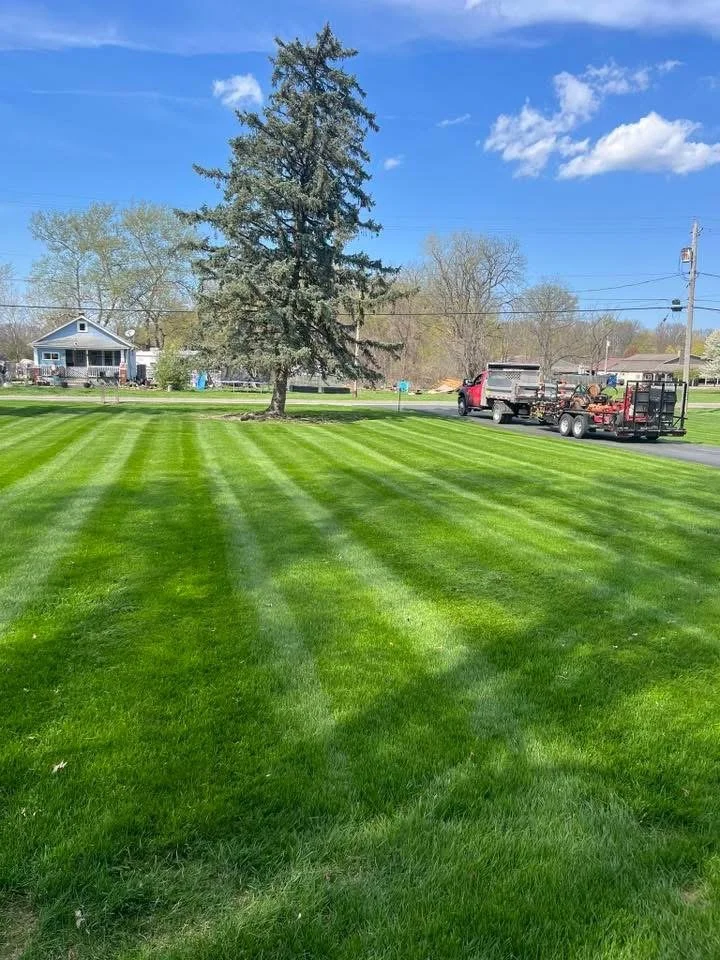 Lawn Care Maintenance