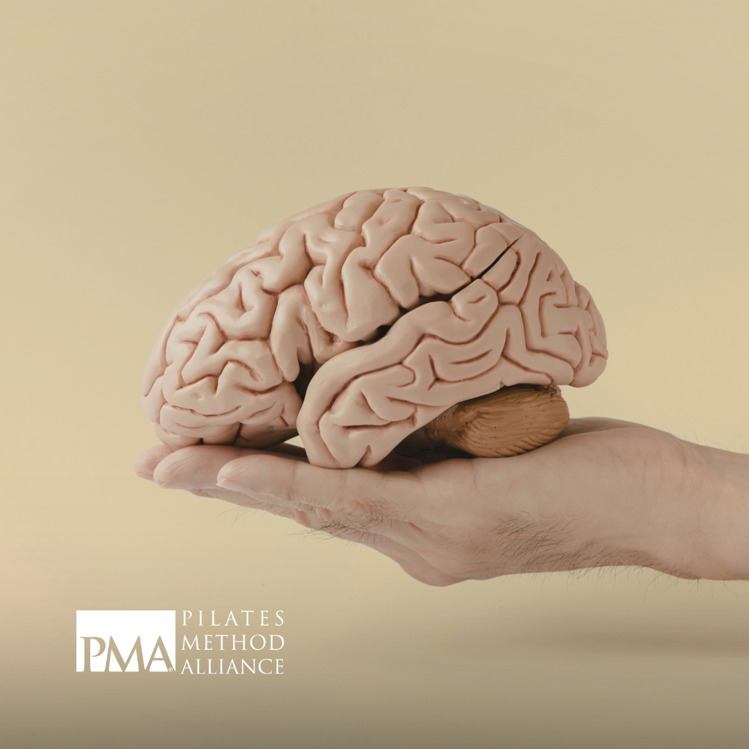 Your Brain Is Running Your Posture Session… Whether You Know It Or Not