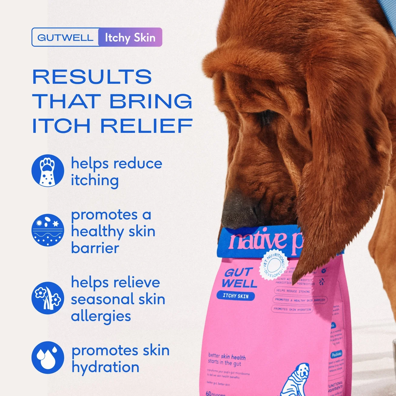 native-pet-gutwell-prebiotic-probiotic-postbiotic-dog-supplement.webp