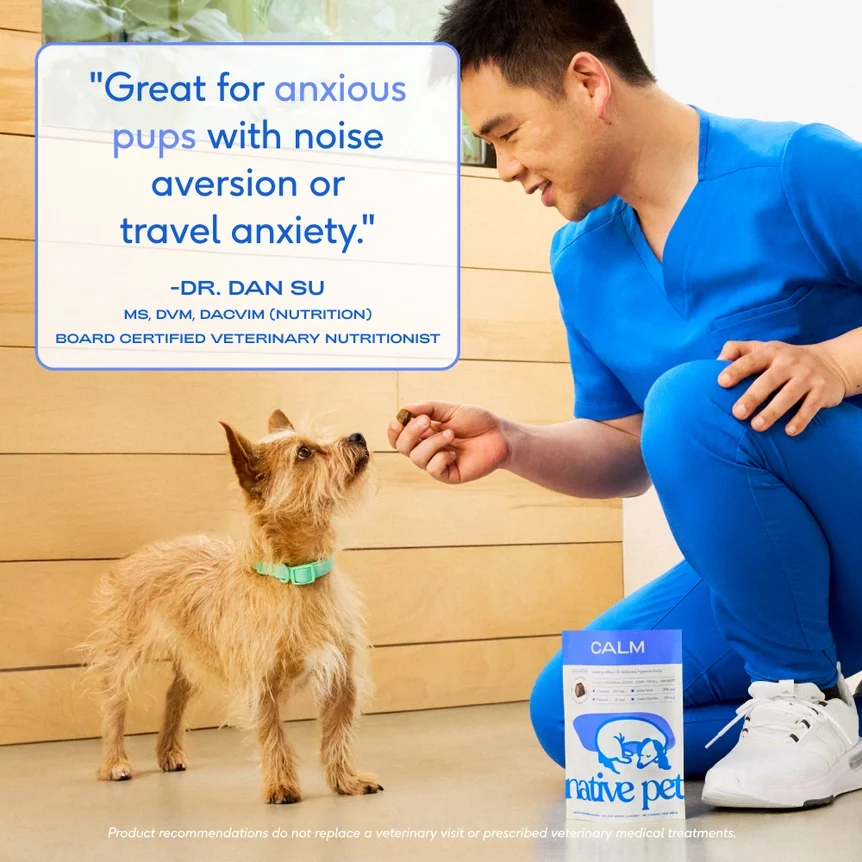 Calm Chews - Native Pet - Vet Recommended.webp