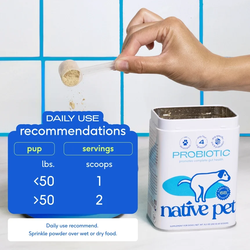Probiotic - Native Pet - Daily Use Recommendations.webp