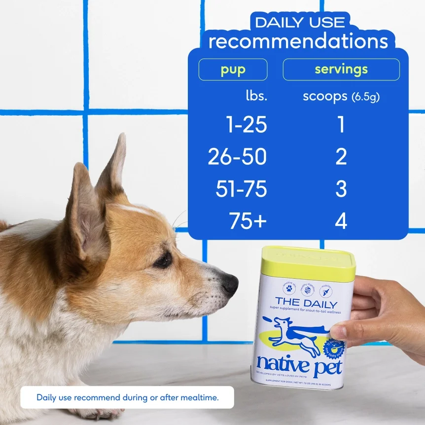 The Daily - Native Pet - Daily Use Recommendation.webp