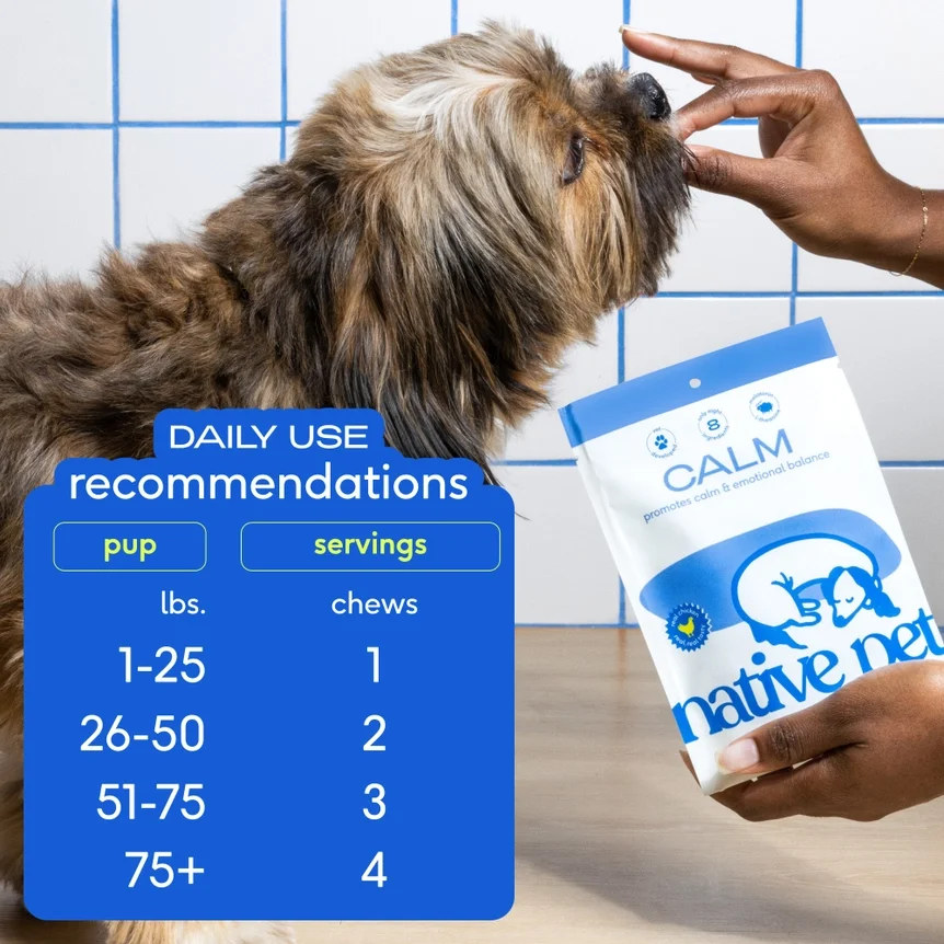 Calm Chews - Native Pet - Daily Use Recommendations.webp