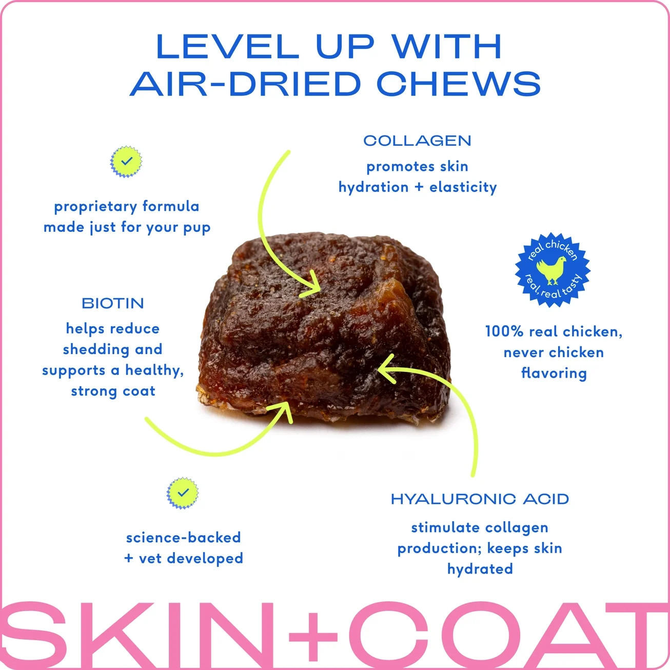 Native Skin + Coat Chews, Skin & Coat Supplement For Dogs -Biotin.webp