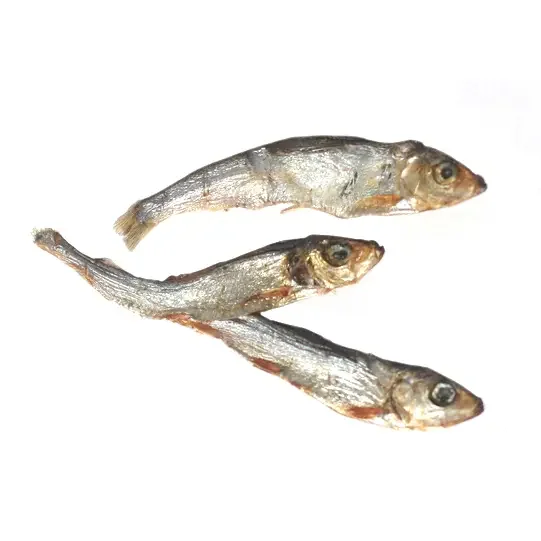 Wild Caught Baltic Sprat - treats for dogs or cats.webp