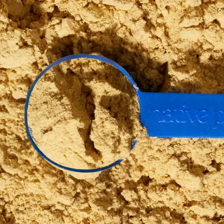 Probiotic - Native Pet - Powder.webp
