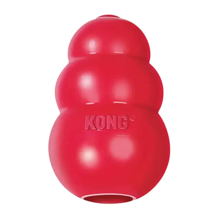 Kong - Size Medium.webp