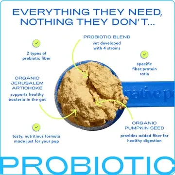 Probiotic - Native Pet - Infographic.webp