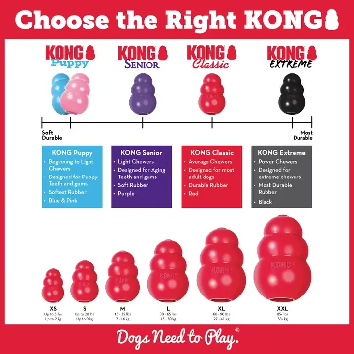Kong - Size Medium - Choose Right Size.webp