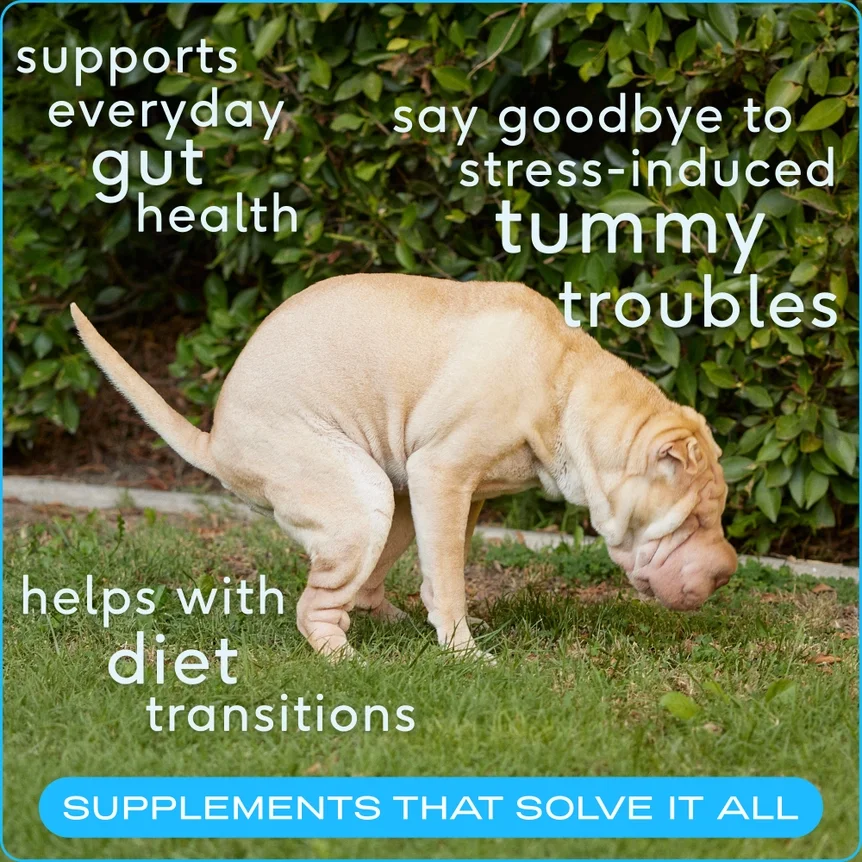 Probiotic - Native Pet - Benefits.webp