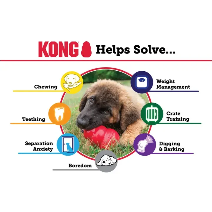Kong - Size Small - Benefits.webp